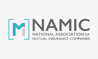 NAMIC_Logo_2x_D323x194